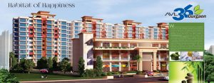 AVL 36 in Sector 36 Gurgaon